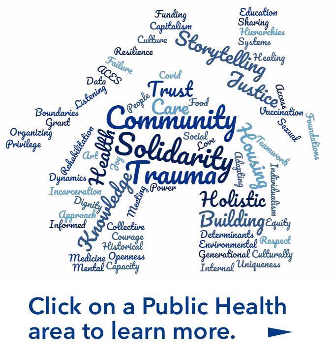 Public Health wordcloud in the shape of a house